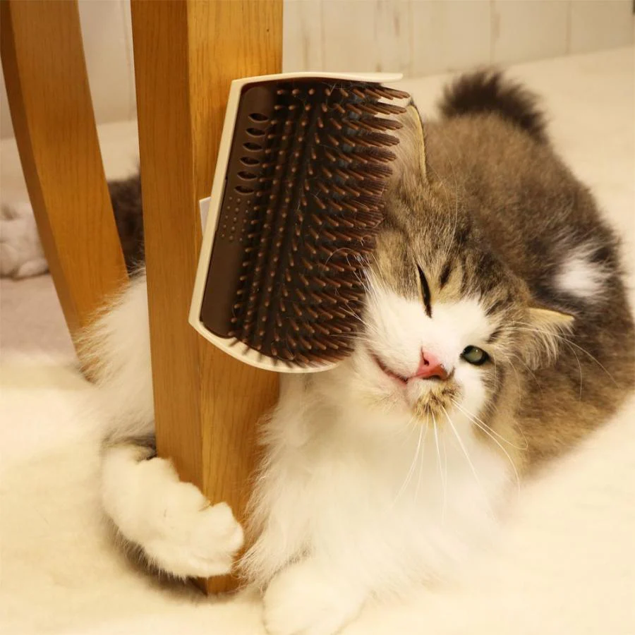 CattyMan Cat Self-Grooming Brush - Image 11