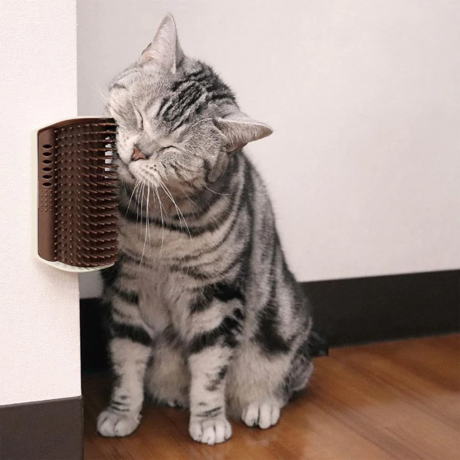 CattyMan Cat Self-Grooming Brush - Image 15