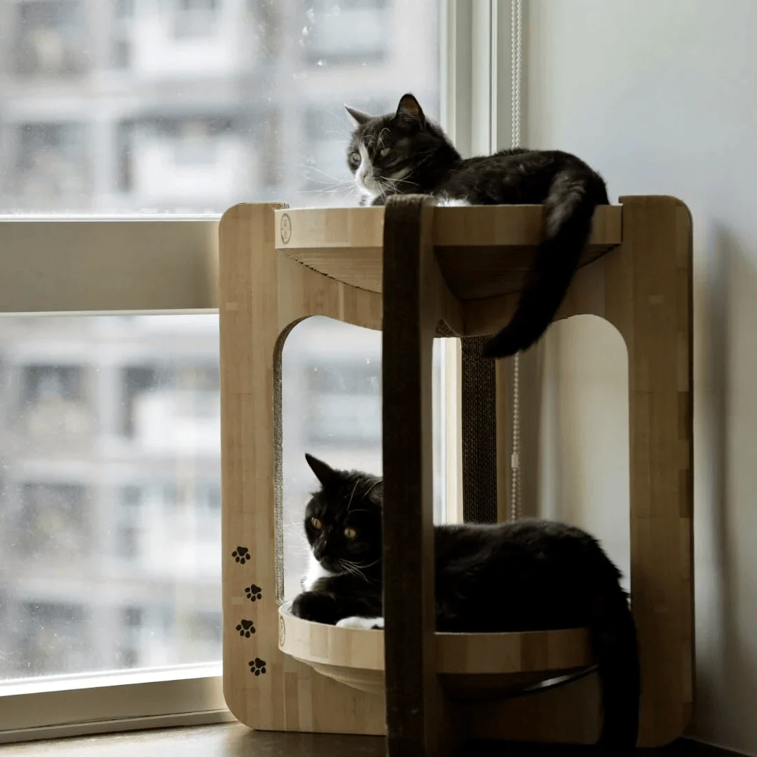 Japan Necoichi Cozy Cat Scratcher Tower - Image 5