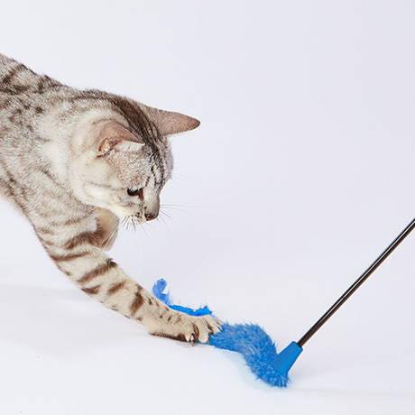 Petio Furry Tail Feather Cat Teaser Toy (Blue Toy Range) - Image 3