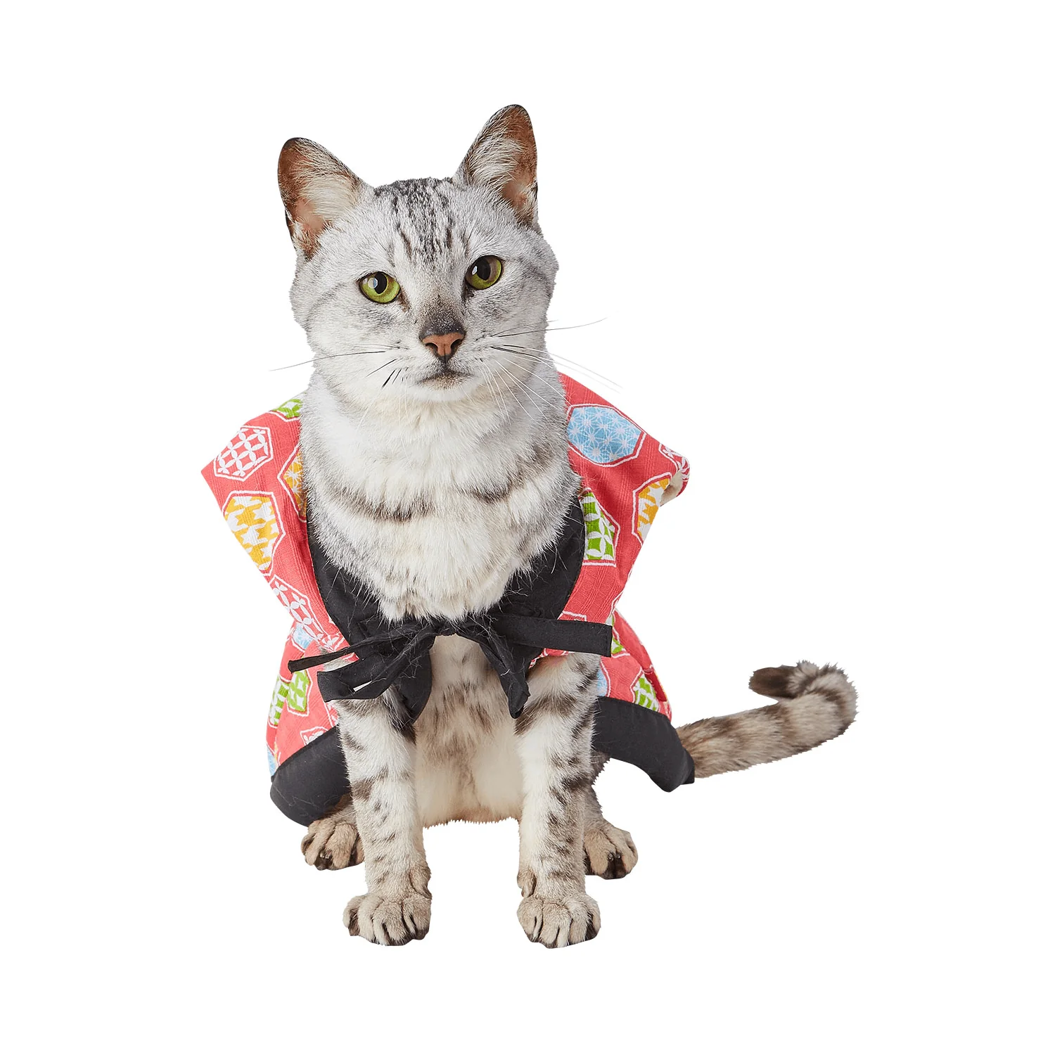 Petio Japanese Kimono Jacket for Cats - Image 4