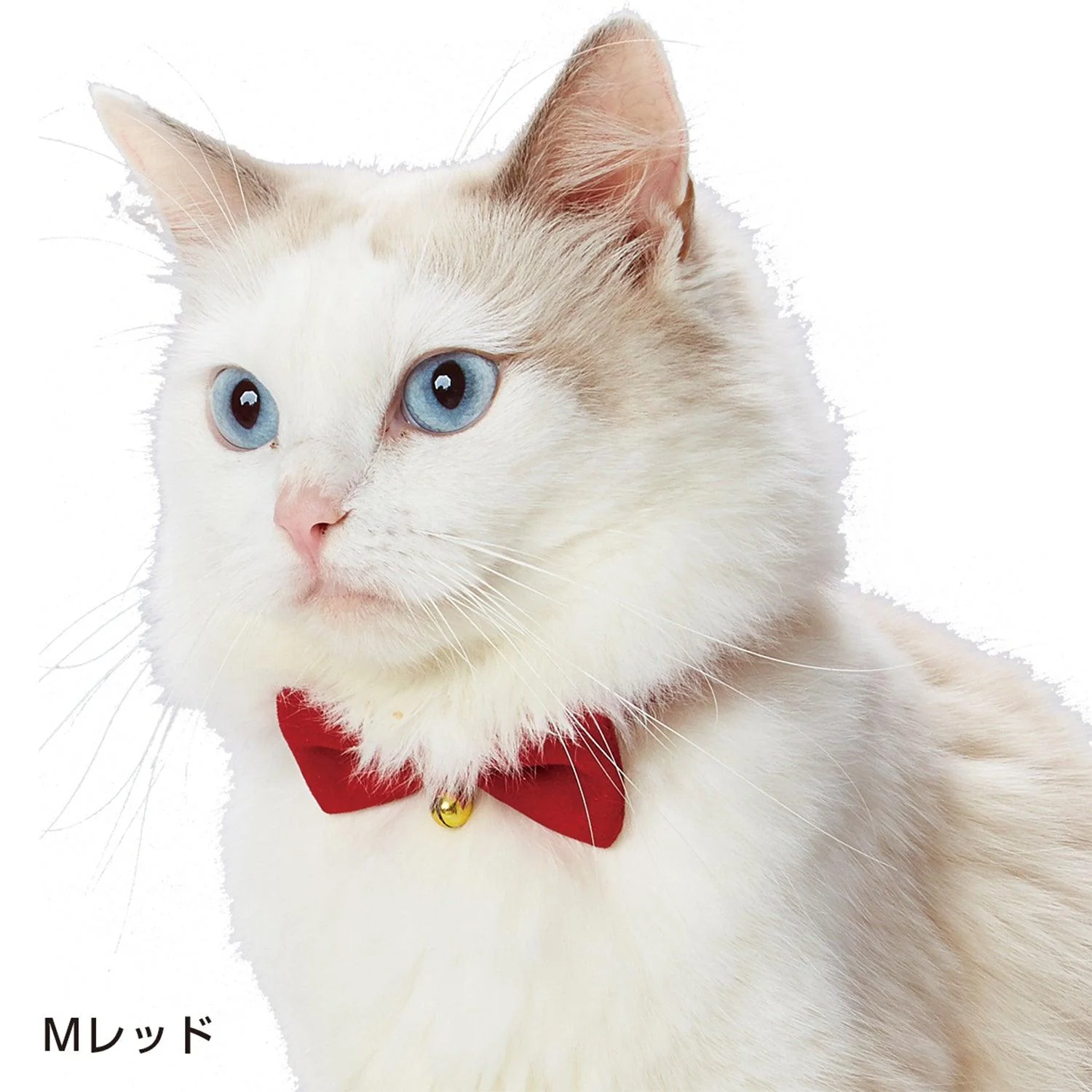 Petio Necoco Festival Bow Cat Collar - Image 3