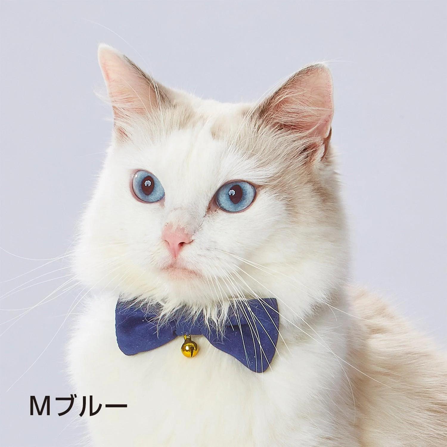 Petio Necoco Festival Bow Cat Collar - Image 6