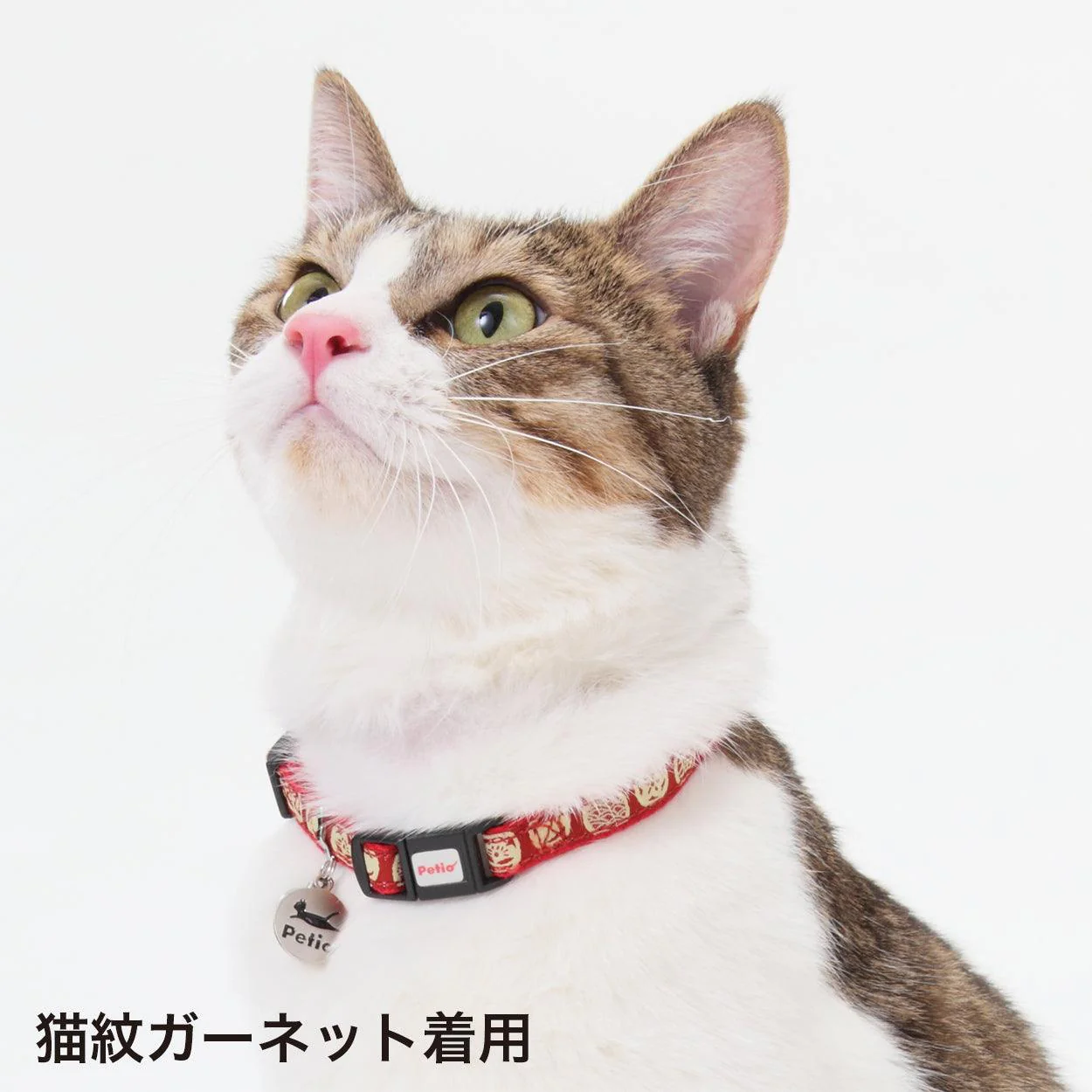 Petio Neko Machi Japanese Festival Cat Collar - Image 7
