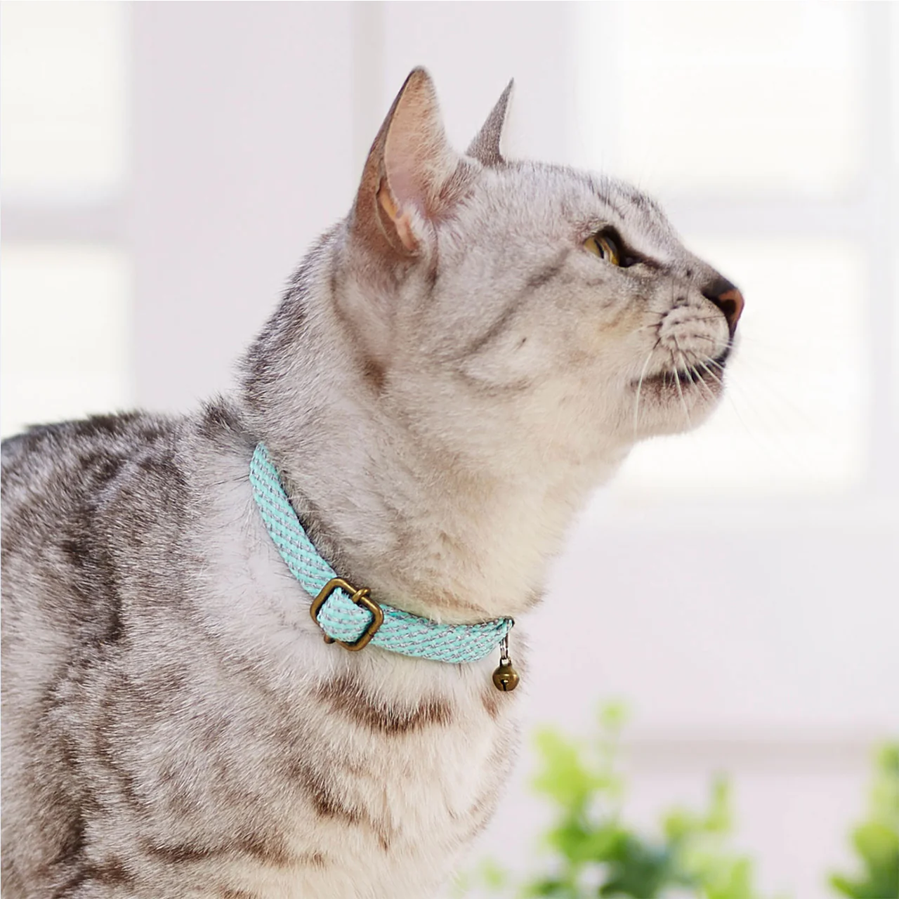 Petio Reflective Cat Collar - Image 4