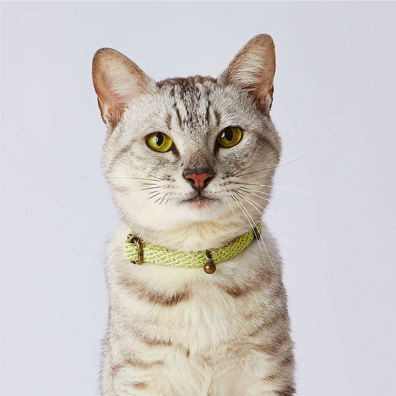 Petio Reflective Cat Collar - Image 6